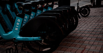 Which Orlando scooter rental company gives me the best value for a week long Disney and Universal vacation?