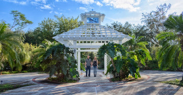 Best Orlando Attractions to Visit With a Mobility Scooter Outside Disney
